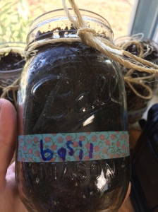 Basil in a Ball jar